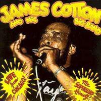 James Cotton And His Big Band - Live From Chicago - Mr. Superharp Himself!